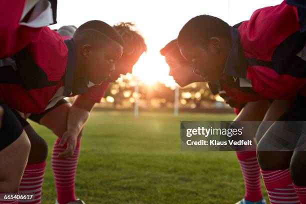 rugby team lined up in front of each other - face off sports play stock-fotos und bilder