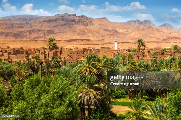 morocco todra valley - desert oasis stock pictures, royalty-free photos & images