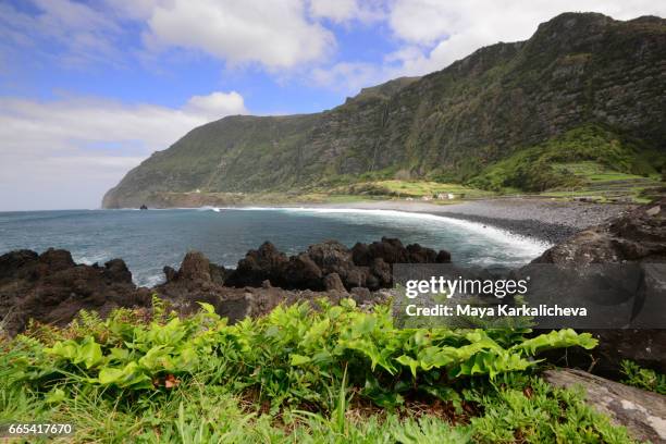 faja grande shores, flores island - flores stock pictures, royalty-free photos & images