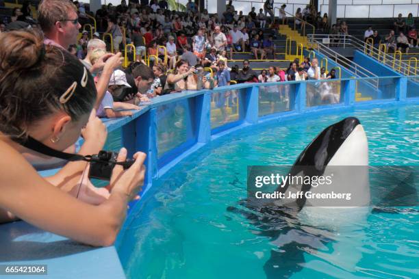 The audience at the Miami Seaquarium watching Lolita the killer whale at its 40th anniversary performance.