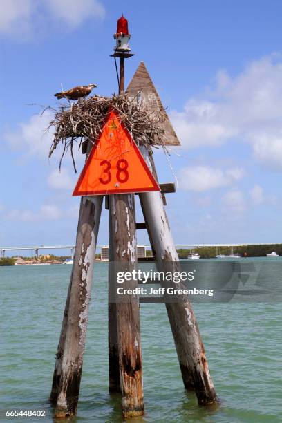 Channel Markers Example 330 Channel Marker Stock Photos, High-Res Pictures, and Images - Getty ...