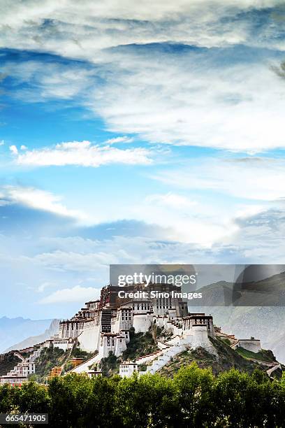 potala palace - lhasa stock pictures, royalty-free photos & images