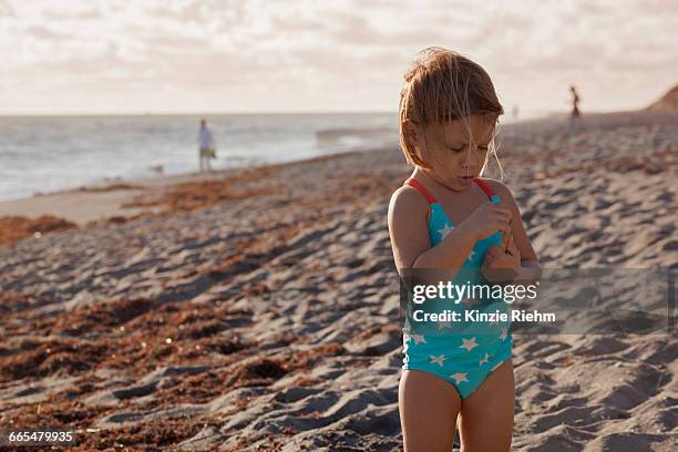 girl examining stick on beach, blowing rocks preserve, jupiter island, florida, usa - blowing rocks preserve stock pictures, royalty-free photos & images