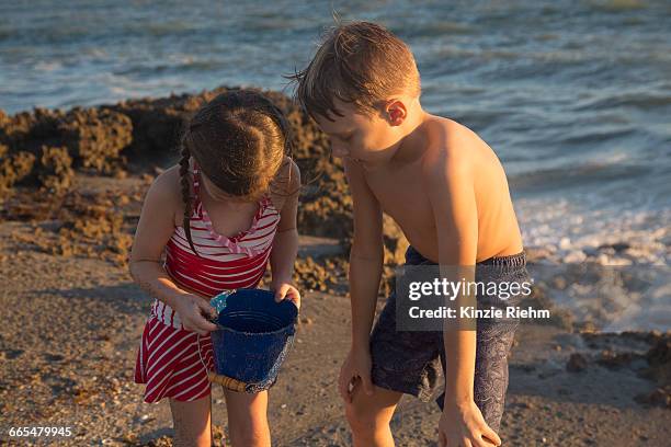 girl and brother peering into toy bucket on beach, blowing rocks preserve, jupiter island, florida, usa - blowing rocks preserve stock pictures, royalty-free photos & images
