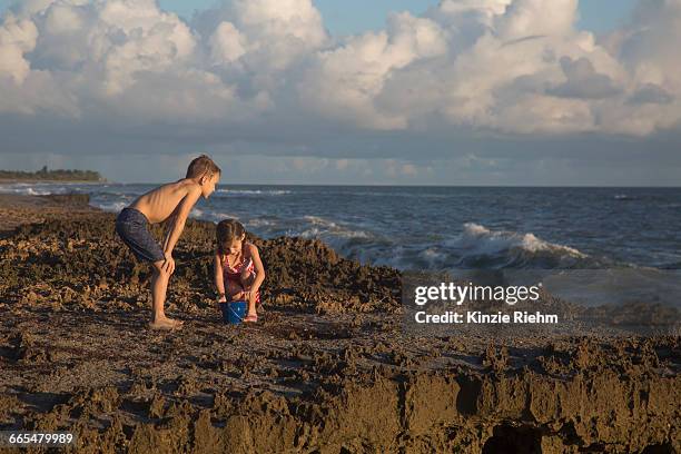 boy and sister playing with toy bucket on beach, blowing rocks preserve, jupiter island, florida, usa - blowing rocks preserve stock pictures, royalty-free photos & images