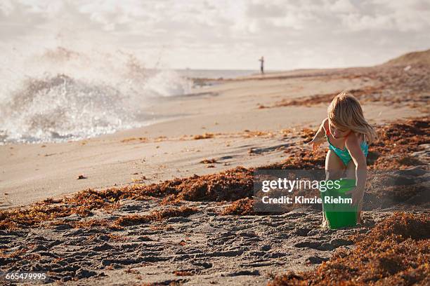 girl playing with toy bucket on windy beach, blowing rocks preserve, jupiter island, florida, usa - blowing rocks preserve stock pictures, royalty-free photos & images