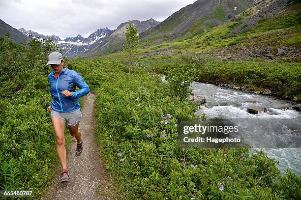 woman running the gold mint trail by little susitna river, talkeetna mountains near hatcher pass, alaska, usa - mt susitna stock pictures, royalty-free photos & images