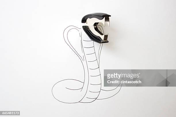 conceptual cobra snake - removedor de agrafos imagens e fotografias de stock