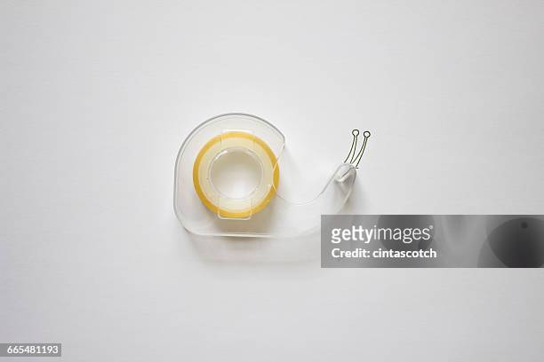 conceptual snail - invertebrate stock pictures, royalty-free photos & images