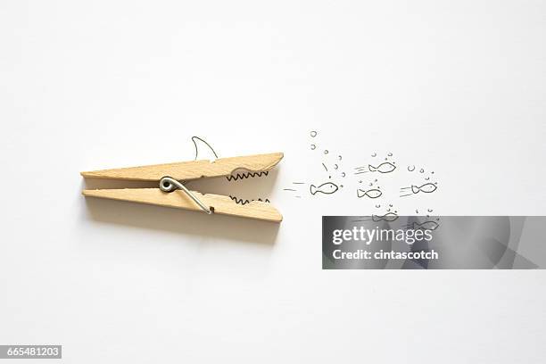 conceptual shark hunting shoal of fish - clothes peg fotografías e imágenes de stock