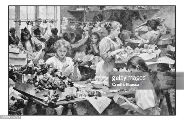 antique photo of paintings: flower makers - little italy stock illustrations