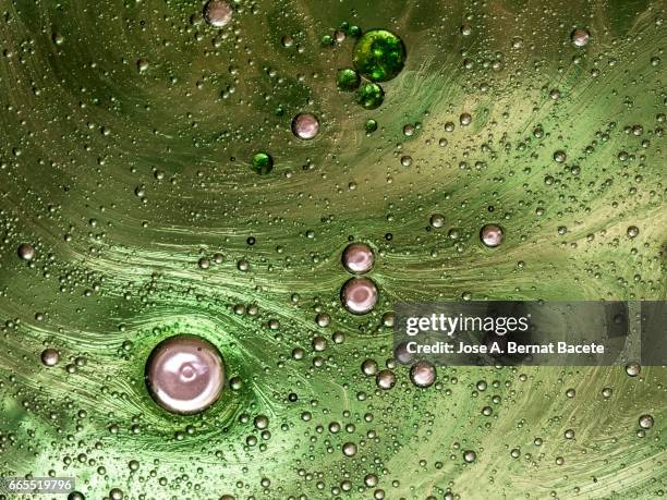 full frame of the textures formed by the bubbles and drops of oil in the shape of circle floating on a gold and green colors background - simetría stockfoto's en -beelden