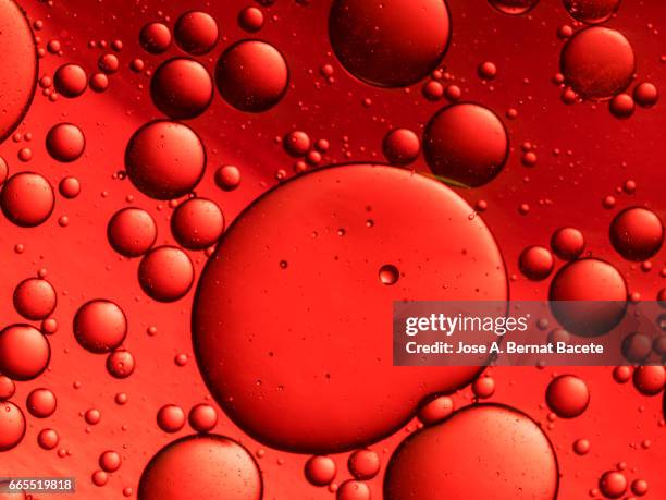 full frame of the textures formed by the bubbles and drops of oil in the shape of circle floating on a red colors background - simetría stockfoto's en -beelden