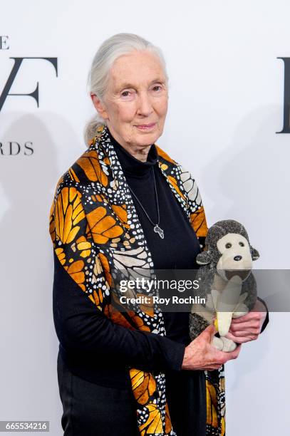 Jane Goodall attends the 2017 DVF Awards at United Nations on April 6, 2017 in New York City.