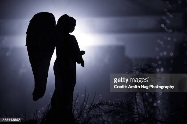 the fallen angel - dark angel stock pictures, royalty-free photos & images