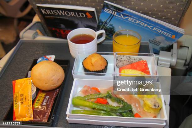 Singapore Airlines onboard meal.