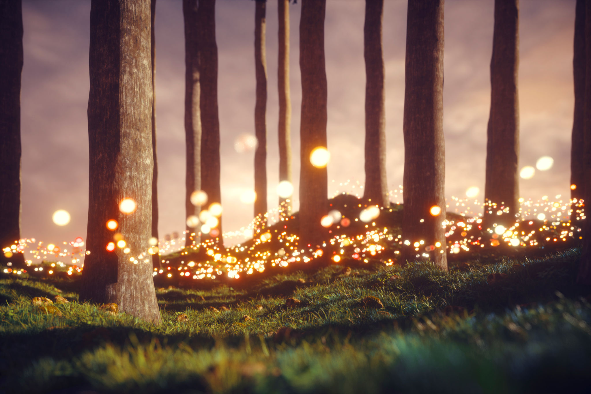 enchanted forest party
