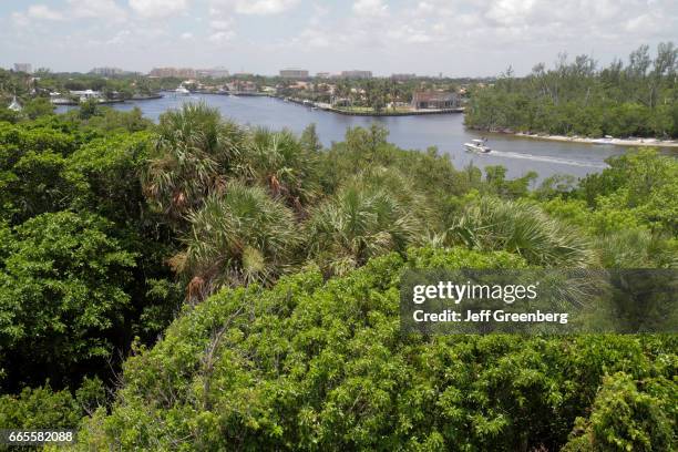 Gumbo Limbo Environmental Complex Photos and Premium High Res Pictures ...