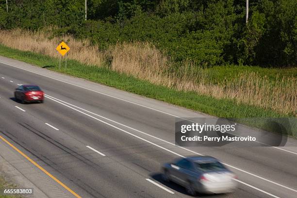 cars in motion - deer crossing stock pictures, royalty-free photos & images