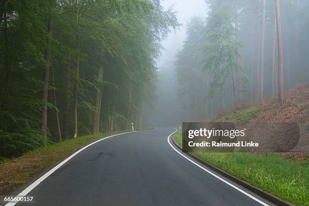 forest road with morning mist - laudenbach stockfoto's en -beelden