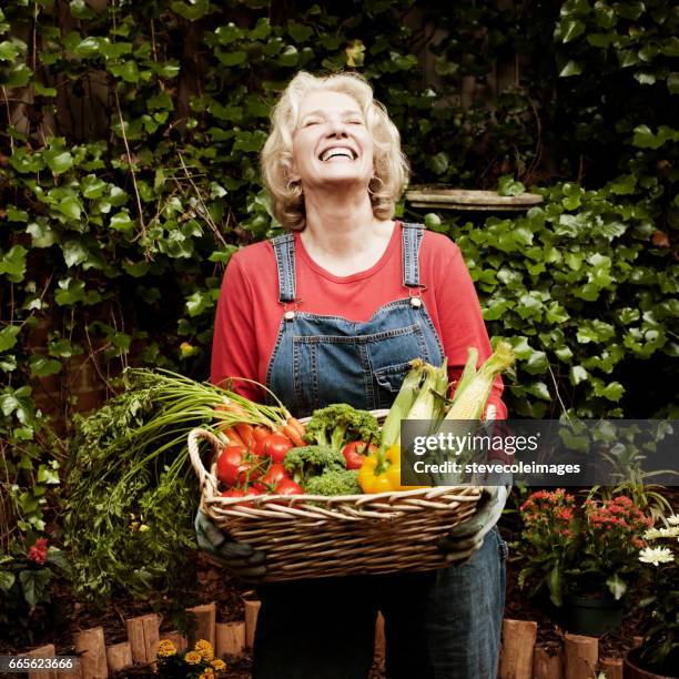 gelukkig senior vrouw met tuin groenten. - harvest basket stockfoto's en -beelden