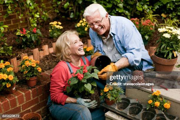 garden couple - senior adult gardening stock pictures, royalty-free photos & images