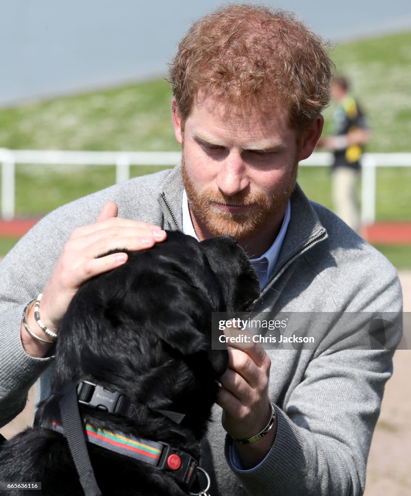 Prince Harry Visits Bath With Invictus Games
