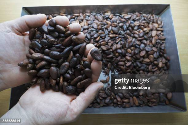 Worker inspects cocoa beans before use in a laboratory at the Trostyanets confectionery plant, operated by Mondelez International Inc., in...