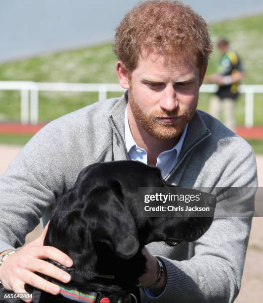 Prince Harry, Patron of the Invictus Games Foundation, with Jester the dog as he attends the UK team trials for the Invictus Games Toronto 2017 held...