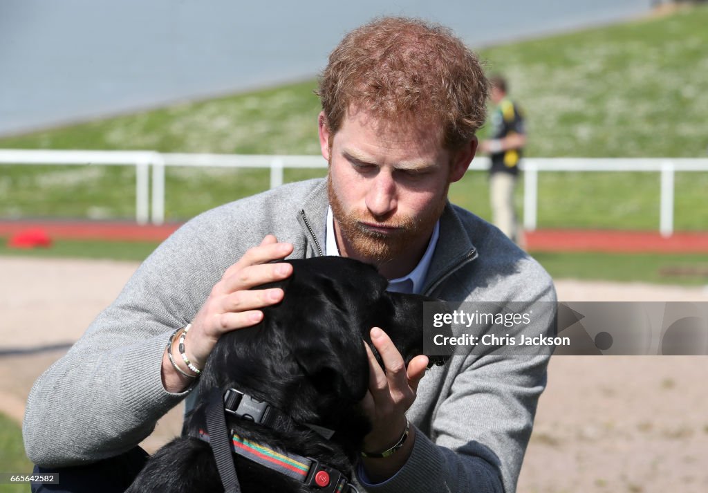 Prince Harry Visits Bath With Invictus Games