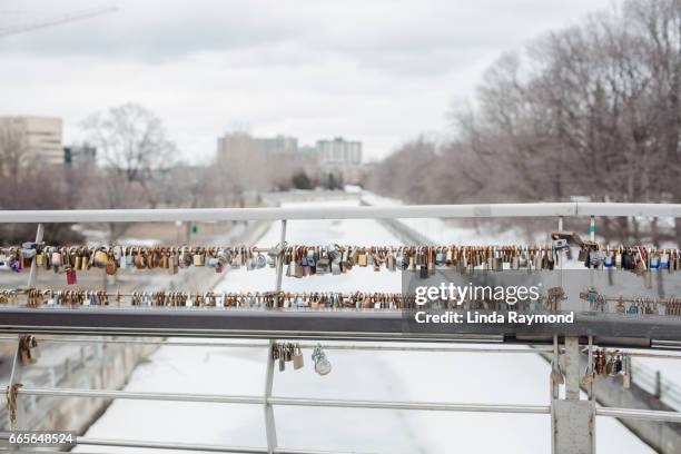 padlocks attached to a bridge - ottawa locks stock pictures, royalty-free photos & images