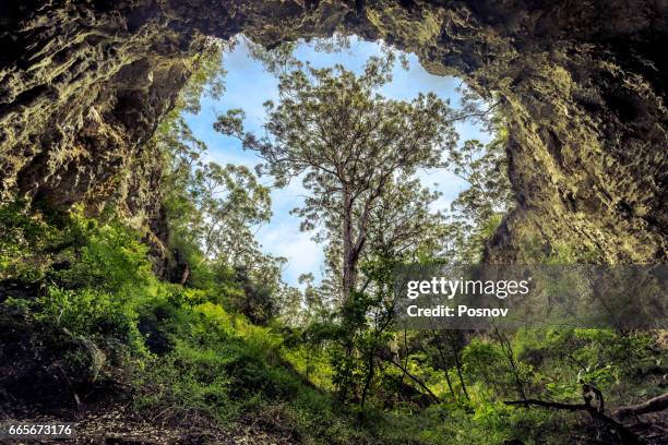 margaret river cave - cave entrance stock pictures, royalty-free photos & images