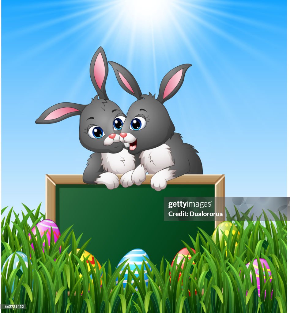 Dibujos Animados Conejo Parejas Con Pizarra Verde En La Hierba Ilustración  de stock - Getty Images