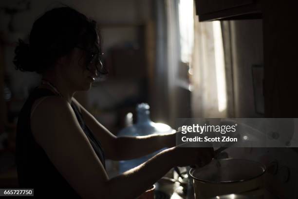 woman cooking at stove - scott zdon stock pictures, royalty-free photos & images