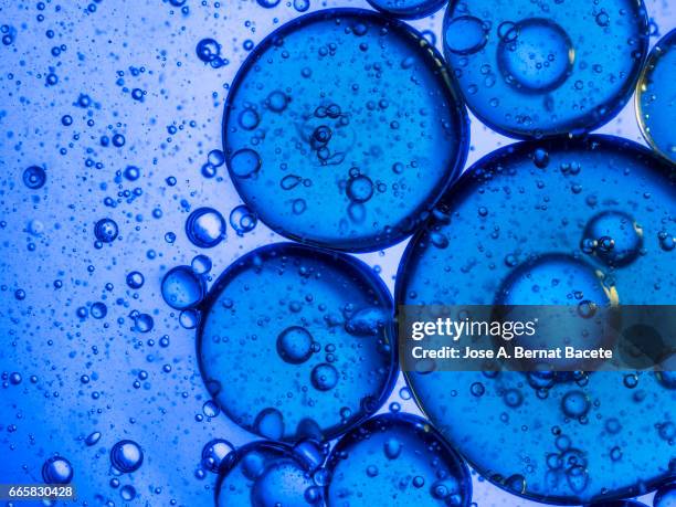 full frame of the textures formed by the bubbles and drops of oil in the shape of circle floating on a blue colors background - remolino 個照片及圖片檔