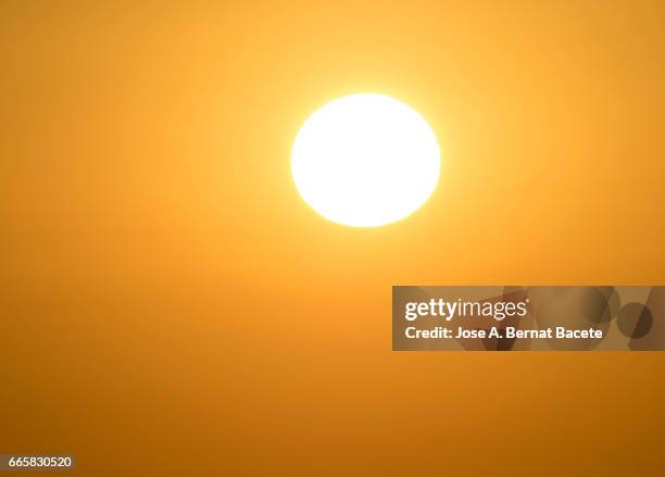 full frame colorful of a sunset sun with clear sky of orange color and the shining sun - círculo 個照片及圖片檔