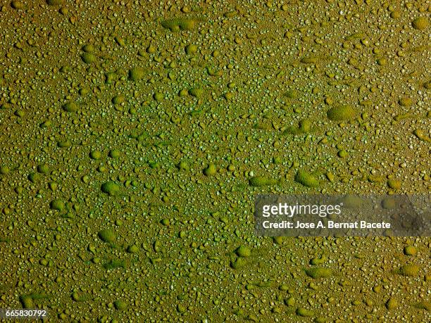 full frame of the textures formed by the bubbles and drops, on a smooth green background - frescura stock pictures, royalty-free photos & images