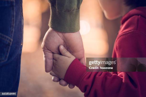 padre e hijo holding hands in park - protección fotografías e imágenes de stock