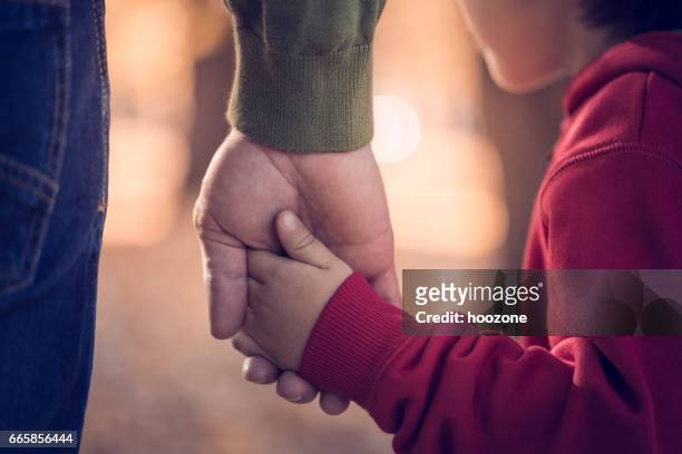 father and son holding hands in park - affectionate stock pictures, royalty-free photos & images
