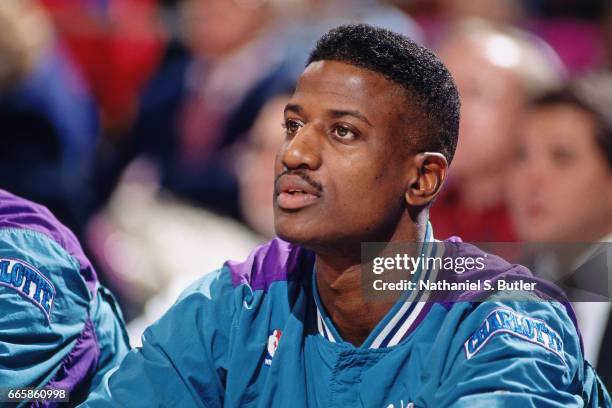 David Wingate Photos and Premium High Res Pictures Getty Images