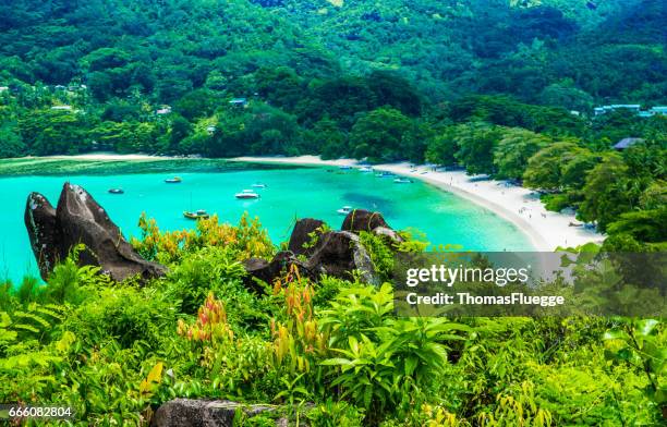 strand auf den seychellen - seychellen stock-fotos und bilder