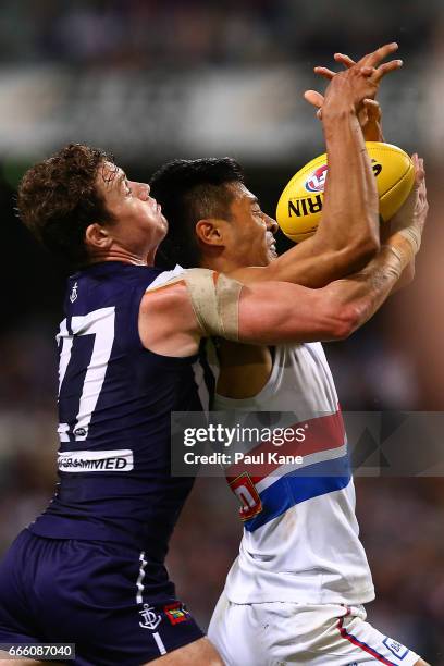 Lachie Neale of the Dockers and Lin Jong of the Bulldogs contest for the ball during the round three AFL match between the Fremantle Dockers and the...