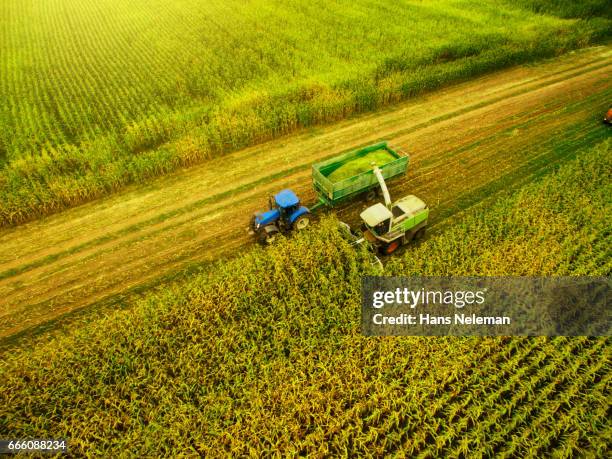 corn harvesting with agriculture vehicles - champs tracteur photos et images de collection