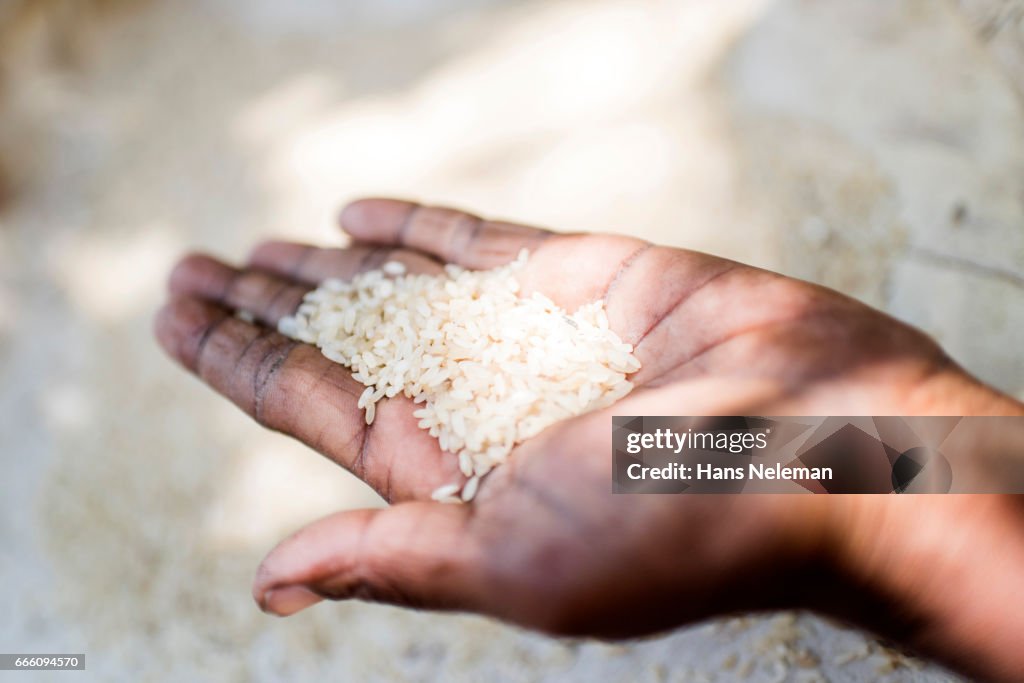 Person holding rice