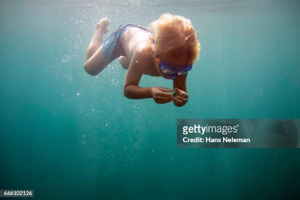 underwater view of boy diving - neugierig stock-fotos und bilder
