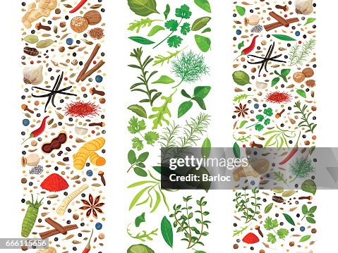 Spises Ribbon Culinary Herbs And Spices Organised In Three Ribbons High-Res Vector ...