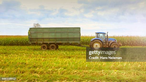 corn harvesting with agriculture vehicle - pskov oblast stock pictures, royalty-free photos & images