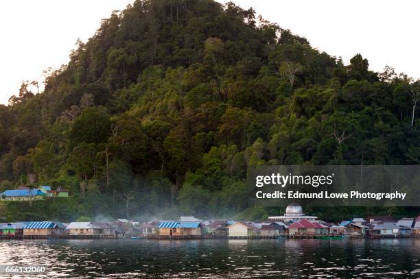 sawai, a little paradise in the north of seram island, maluku - raja ampat islands bildbanksfoton och bilder