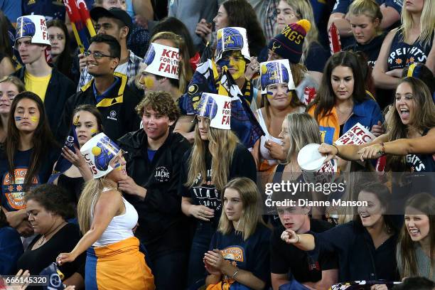 Supporters of the Highlanders look on from the Zoo during the round seven Super Rugby match between the Highlanders and the Blues on April 8, 2017 in...