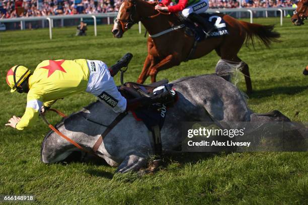 Sam Twiston-Davies on Politologue falls after jumping the last fence and leading the race during Doom Bar Maghull Novices' Steeple Chase at Aintree...